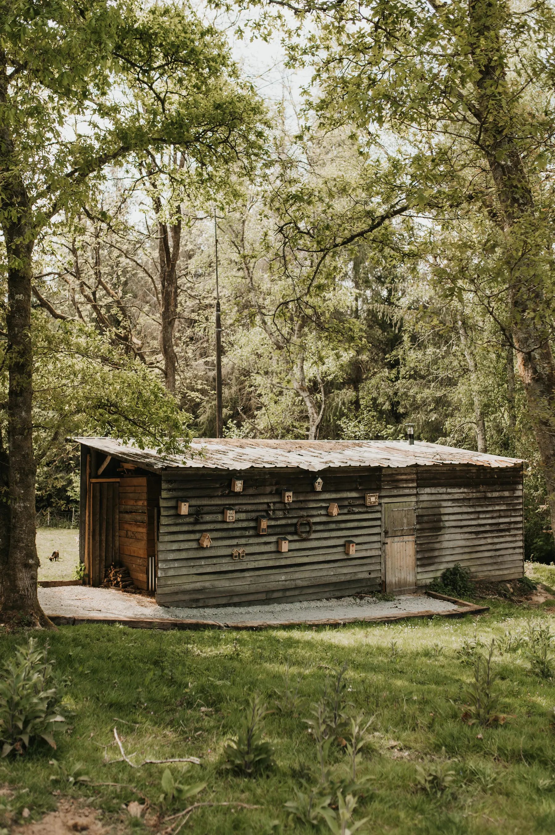 Une cabane de bois perchée dans les arbres.