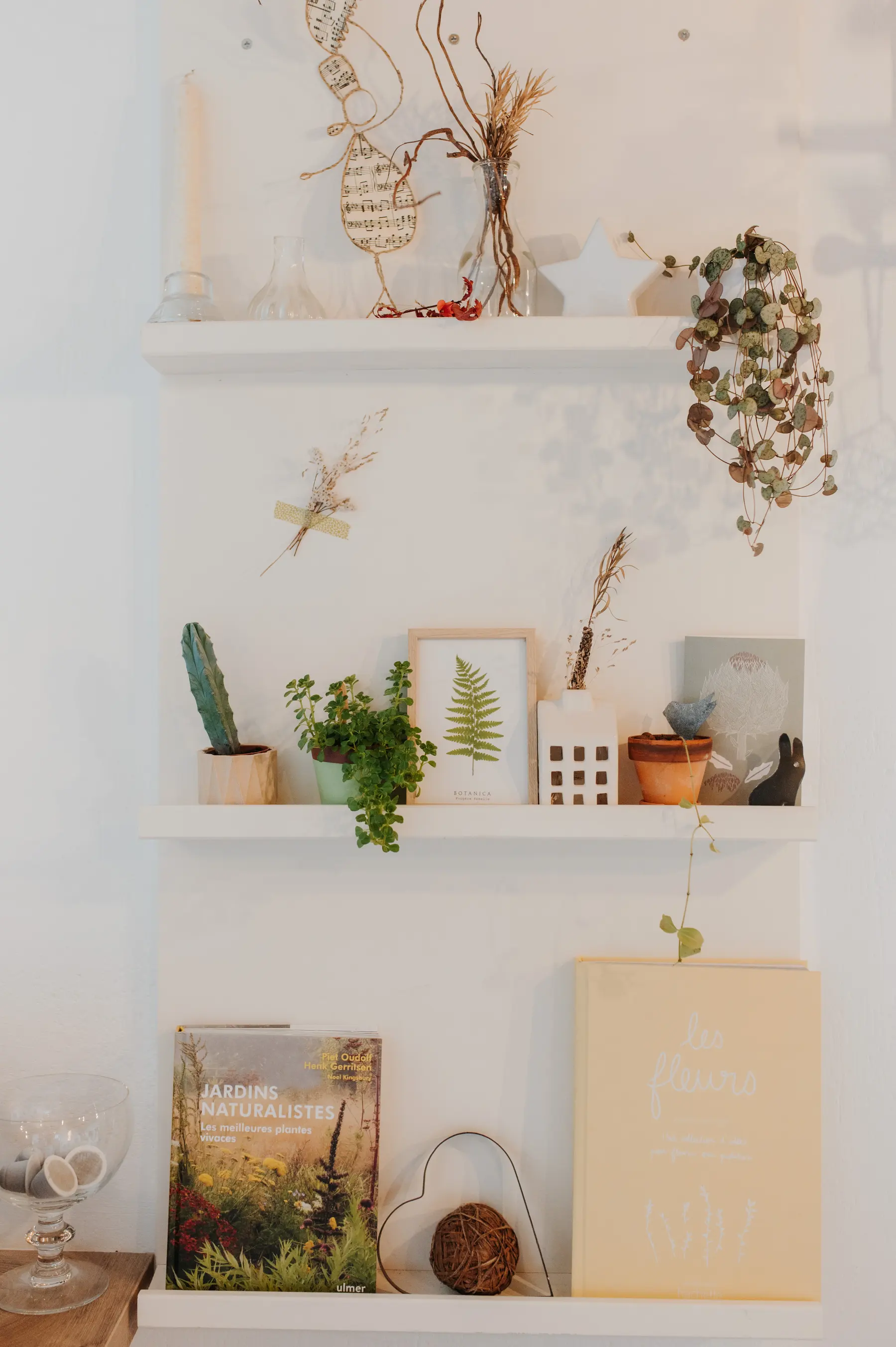 Des étagères garnies de plantes et d’objets chinés.