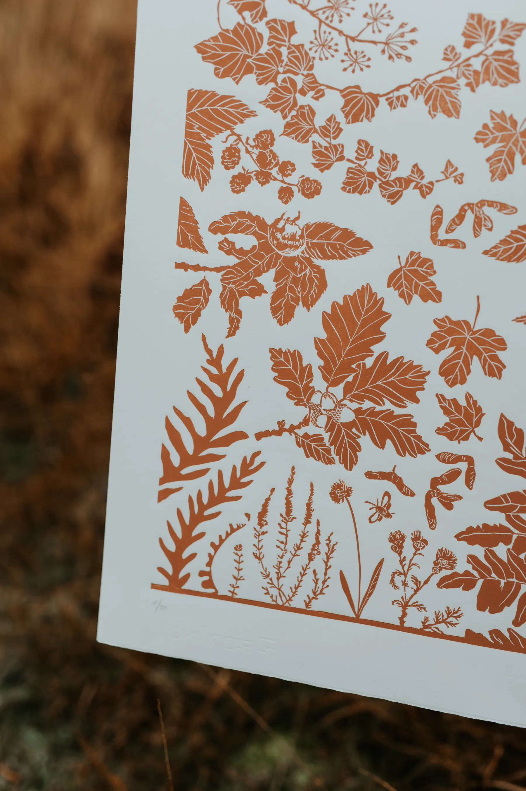 Une affiche botanique imprimée dans un ton terracotta.