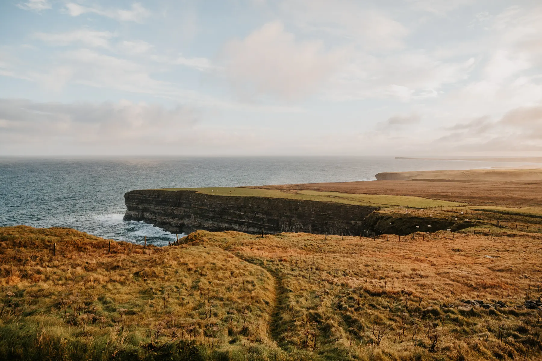 Des falaises couvertes de lande dominent la côte.