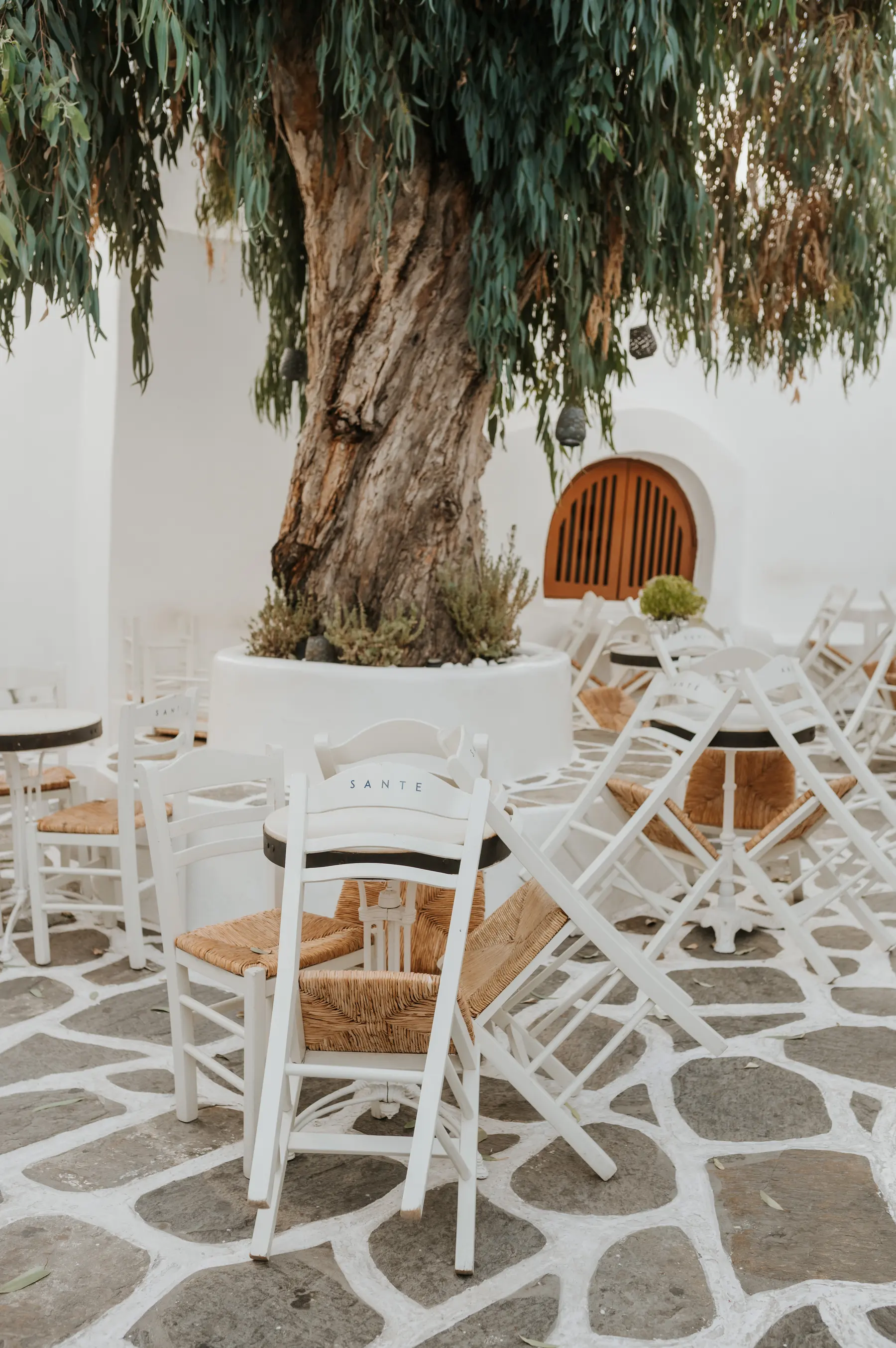 Une terrasse de café blanche, à l’ombre d’un arbre.